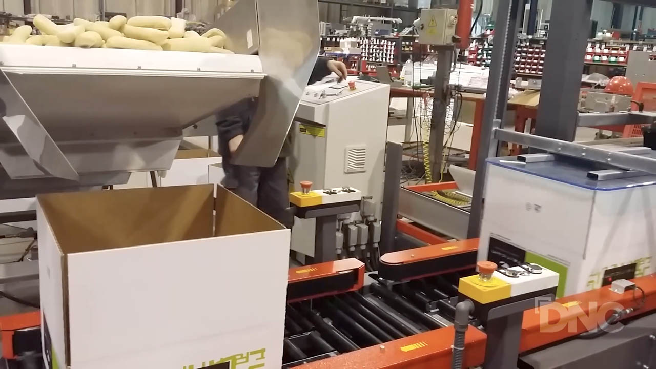 Automatización de línea de encajado de pan congelado